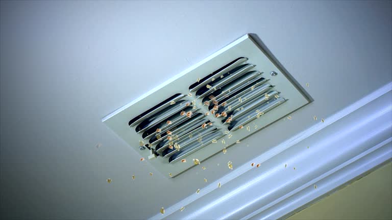 Best Affordable Duct Cleaning Services  in Fultonde, AL